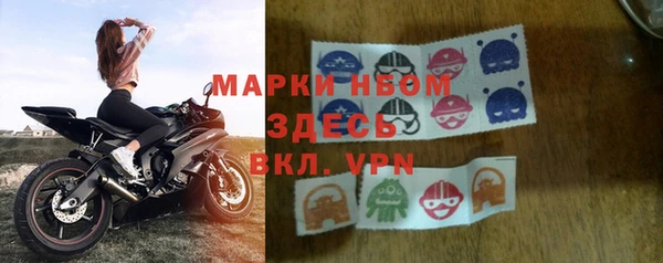 прущие грибы Зеленокумск