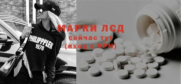 сатива Заволжье