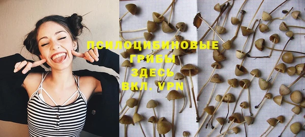 шишки Зерноград