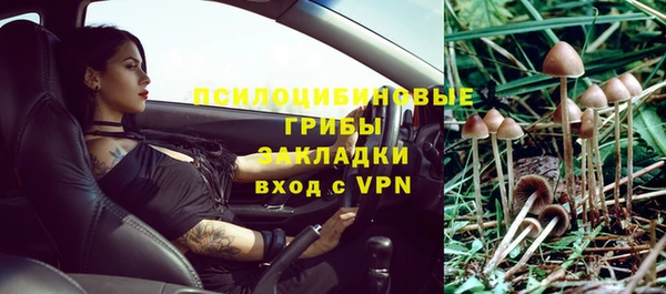 сатива Заволжье