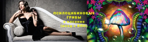 шишки Зерноград