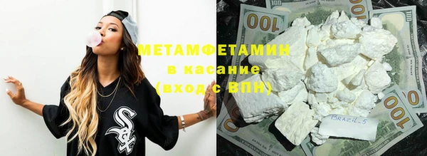 прущие грибы Зеленокумск