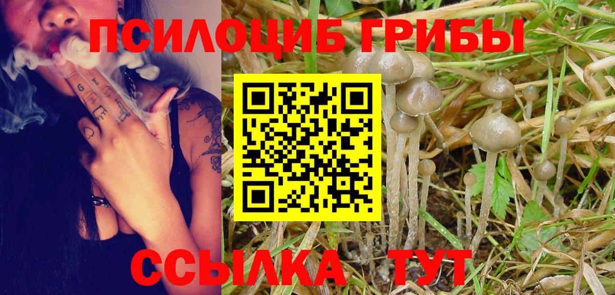 Галлюциногенные грибы ЛСД  Вход с VPN  Новоалтайск  Псилоцибиновые грибы Magic Shrooms 